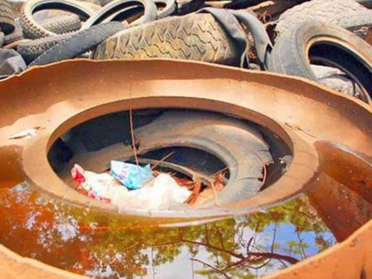 ‘Madruga’ el dengue ‘Madruga’ el dengue
