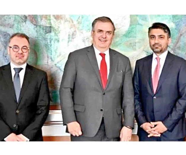 Crece a 6 Estados rebatinga por Tesla