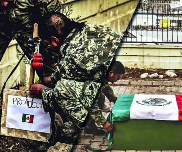 Vuelve Proteo, perrito rescatista que murió en Turquía Vuelve Proteo, perrito rescatista que murió en Turquía