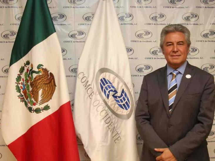 Busca COMCE planta de aceite de aguacate para PYMES Busca COMCE planta de aceite de aguacate para PYMES