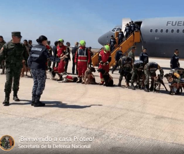 Llegan al AIFA rescatistas y binomios caninos, tras ayuda en Turquía Llegan al AIFA rescatistas y binomios caninos, tras ayuda en Turquía