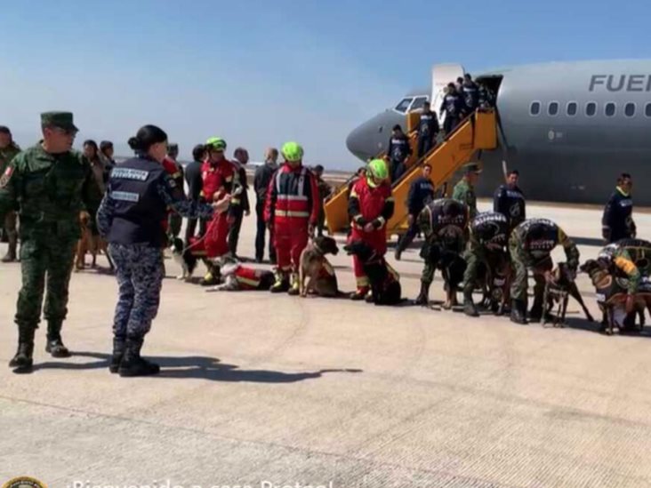Llegan al AIFA rescatistas y binomios caninos, tras ayuda en Turquía Llegan al AIFA rescatistas y binomios caninos, tras ayuda en Turquía