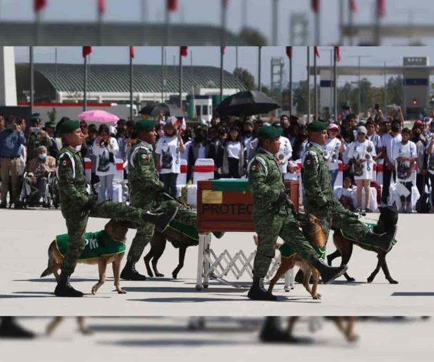 México y el mundo te despide; rinden homenaje a Proteo México y el mundo te despide; rinden homenaje a Proteo