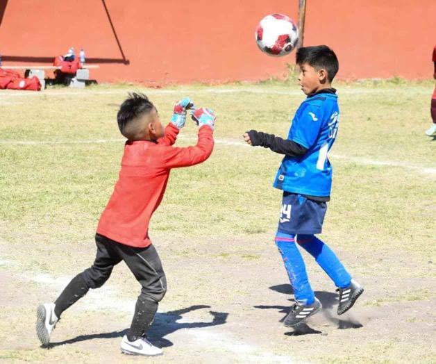 ¡Y continúa la cosecha!