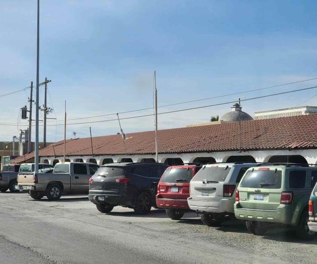 Sobreviven pulgueros Sobreviven pulgueros