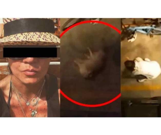 Mujer arroja a mascota de segundo piso tras disputa con su pareja Mujer arroja a mascota de segundo piso tras disputa con su pareja