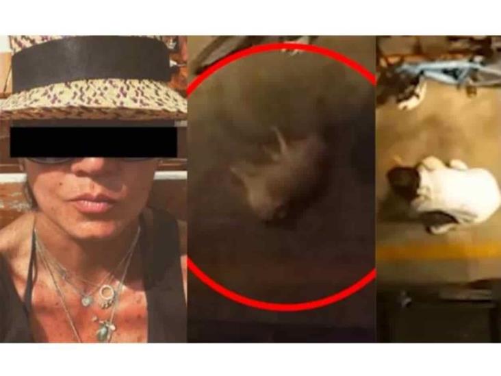 Mujer arroja a mascota de segundo piso tras disputa con su pareja Mujer arroja a mascota de segundo piso tras disputa con su pareja