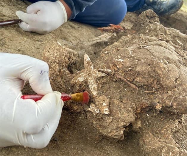 Descubre INAH restos humanos de mil años