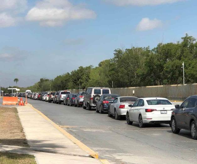 Prefieren ‘Mcallear’ que ir a votar Prefieren ‘Mcallear’ que ir a votar