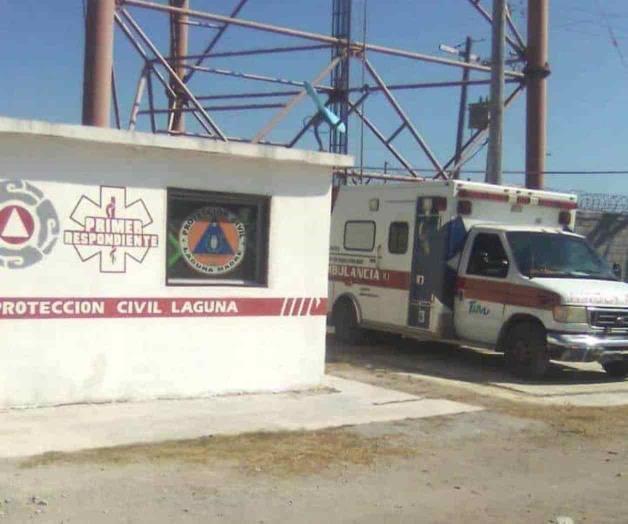 Muerde víbora de cascabel a niña Muerde víbora de cascabel a niña