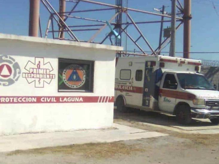 Muerde víbora de cascabel a niña Muerde víbora de cascabel a niña