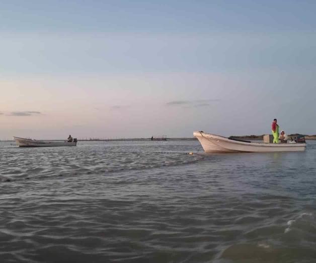 Listos los pescadores para captura de jaiba Listos los pescadores para captura de jaiba