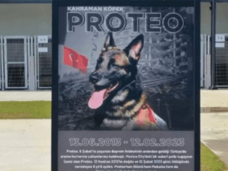 Refugio de animales en Turquía lleva el nombre de Proteo Refugio de animales en Turquía lleva el nombre de Proteo