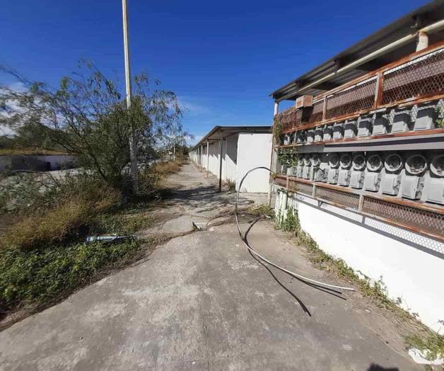 Permanece apto aún pese a estar olvidado