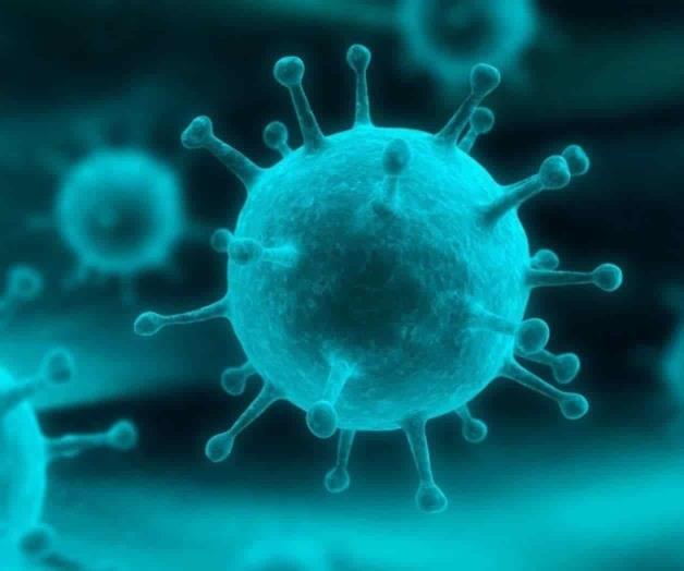 Ofrece EU ayuda para responder al brote de virus Marburgo