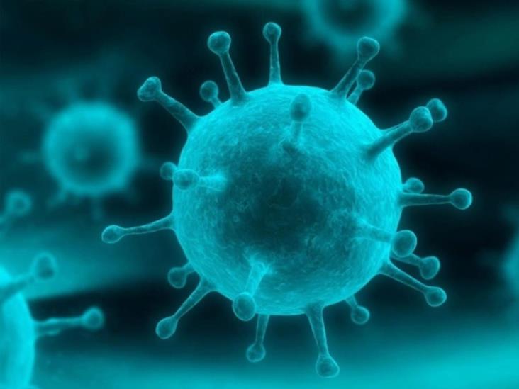 Ofrece EU ayuda para responder al brote de virus Marburgo Ofrece EU ayuda para responder al brote de virus Marburgo