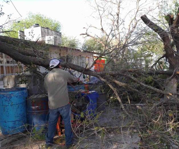 Eliminan riesgos en un preescolar
