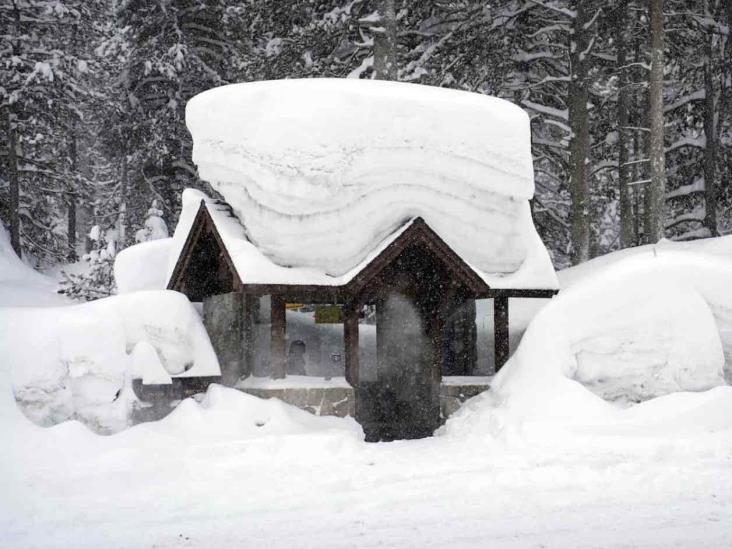 Enfrenta California más nieve y viento Enfrenta California más nieve y viento