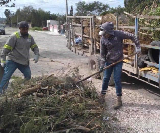 Elimina el municipio los focos de dengue