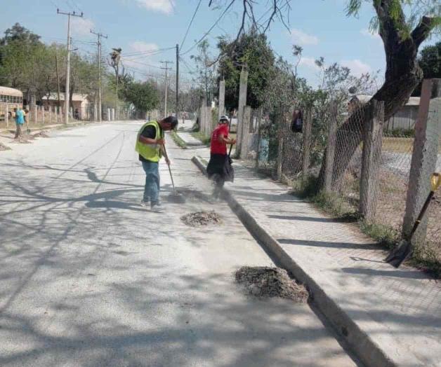 Limpian y embellecen Las Flores