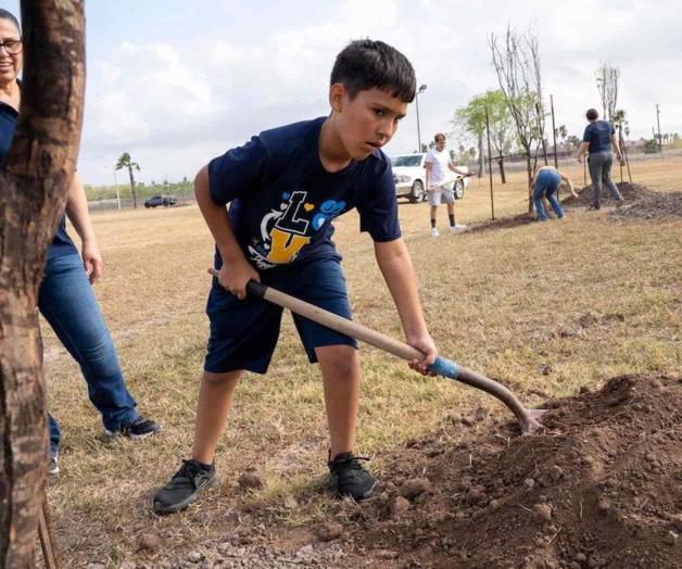 Reforestación en el parque Bentsen