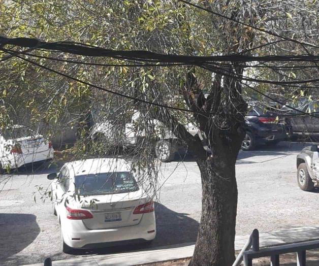 Alertan de peligro en antiguo Crede