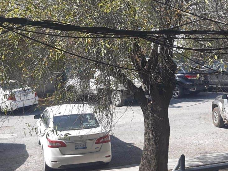 Alertan de peligro en antiguo Crede Alertan de peligro en antiguo Crede