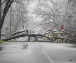 Las partes de Michigan siguen sin electricidad