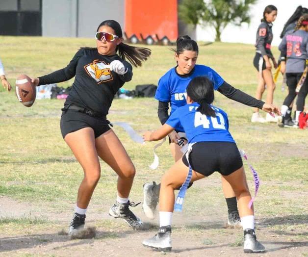 ¡De regreso en los emparrillados!