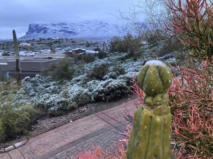 Nevada, ‘única en una generación’ Nevada, ‘única en una generación’