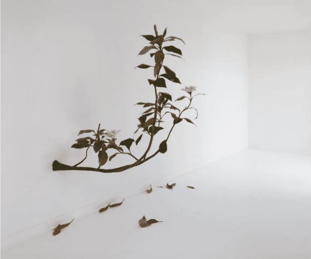 Barragán y Lorca se enamoran en Ciudad de México