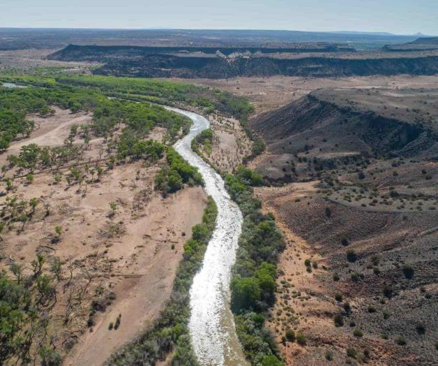 Pierde el Río Grande el 93% de humedales