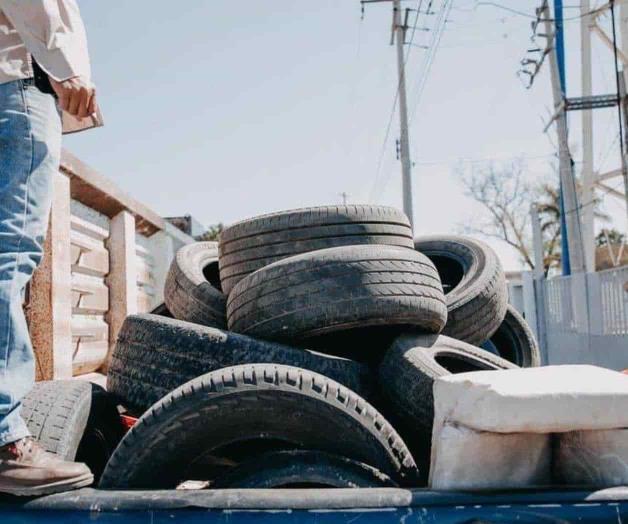 Previenen dengue en los municipios del sur