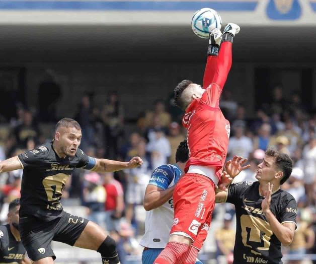 Le pintan la cara a Pumas, y en su casa