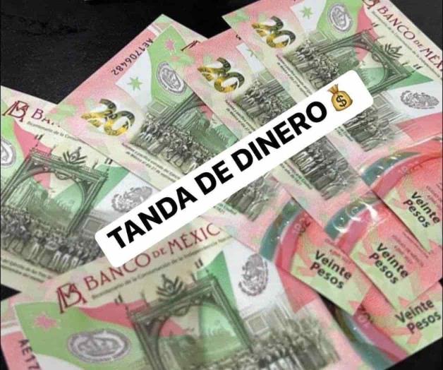 Tandas hunden a trabajadores Tandas hunden a trabajadores