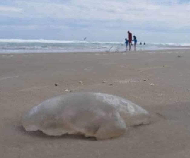 Aparece agua mala en la playa Miramar