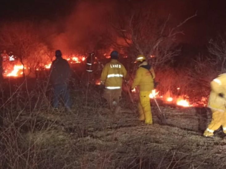 Incendio forestal en Sonora arrasa con mil 600 hectáreas de pastizal Incendio forestal en Sonora arrasa con mil 600 hectáreas de pastizal