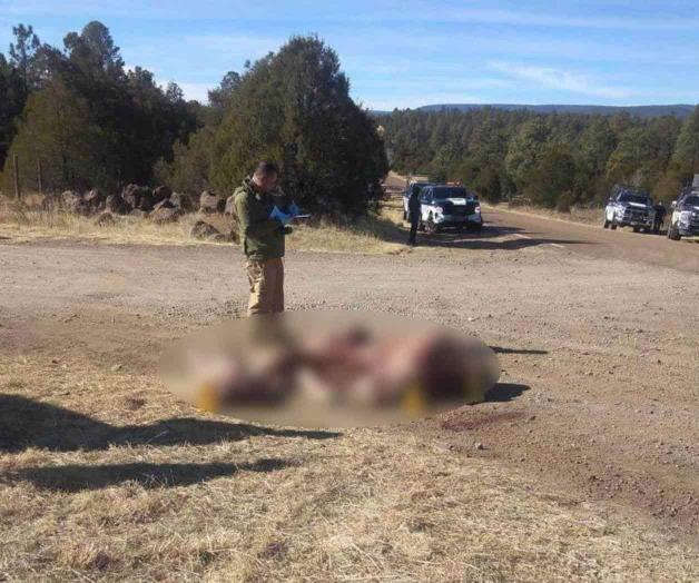 Hallan destazados los cuerpos de los 4 desaparecidos en Madera