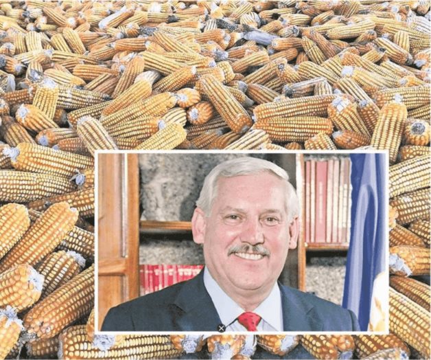 Canadá se une a la petición de consultas de EU por maíz transgénico Canadá se une a la petición de consultas de EU por maíz transgénico