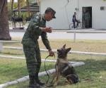 Tienen unidad canina