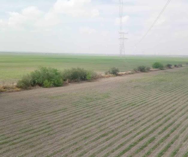 ¡Se avecinan lluvias! ¡Se avecinan lluvias!