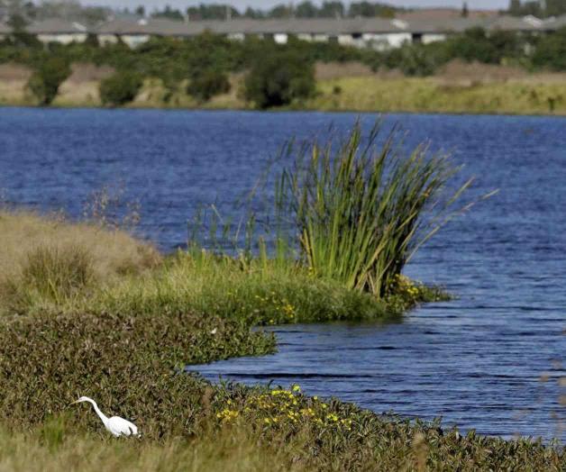 Aprueban revocar protecciones al agua