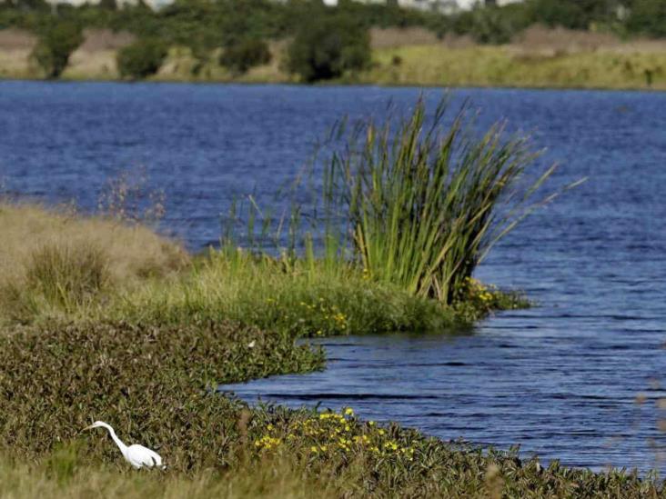 Aprueban revocar protecciones al agua Aprueban revocar protecciones al agua