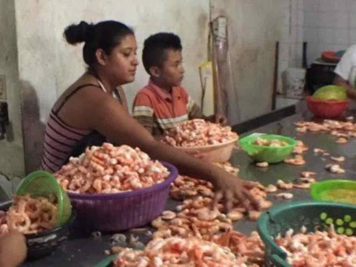 Verificarán padrón de apoyo a pescadores Verificarán padrón de apoyo a pescadores