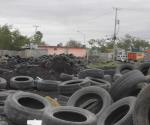Acumulan llantas que ya no sirven
