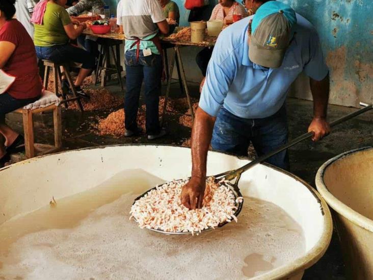 Baja producción de camarón de laguna Baja producción de camarón de laguna