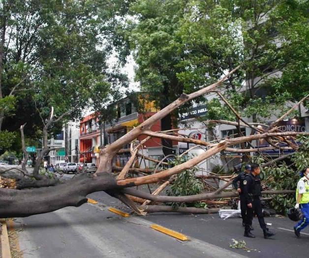 Alertan por fuertes vientos por tercer día consecutivo 