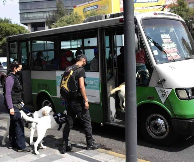 Fija CDMX meta de microbuses a chatarrizar