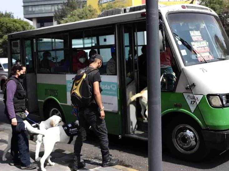 Fija CDMX meta de microbuses a chatarrizar Fija CDMX meta de microbuses a chatarrizar
