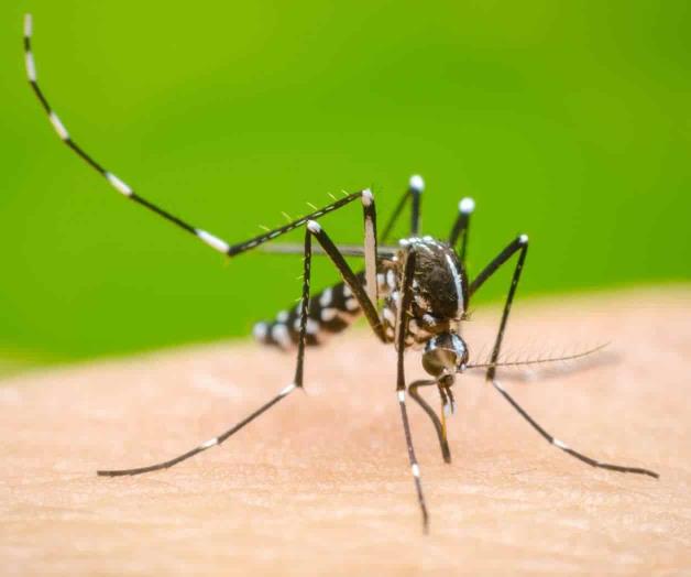 Tamaulipas con 52 casos de dengue